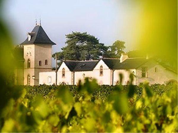 Domaine De La Soucherie - Chambres D'Hotes Beaulieu-sur-Layon Eksteriør billede