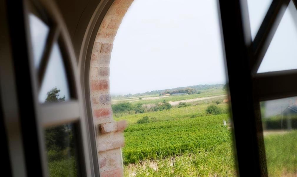 Domaine De La Soucherie - Chambres D'Hotes Beaulieu-sur-Layon Eksteriør billede