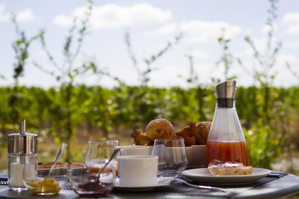 Domaine De La Soucherie - Chambres D'Hotes Beaulieu-sur-Layon Eksteriør billede