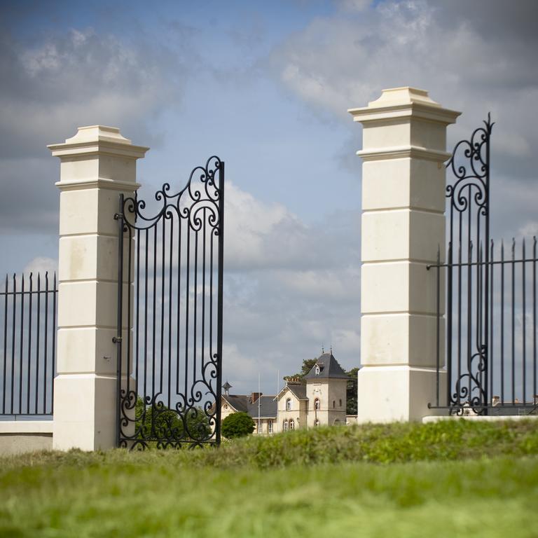 Domaine De La Soucherie - Chambres D'Hotes Beaulieu-sur-Layon Eksteriør billede