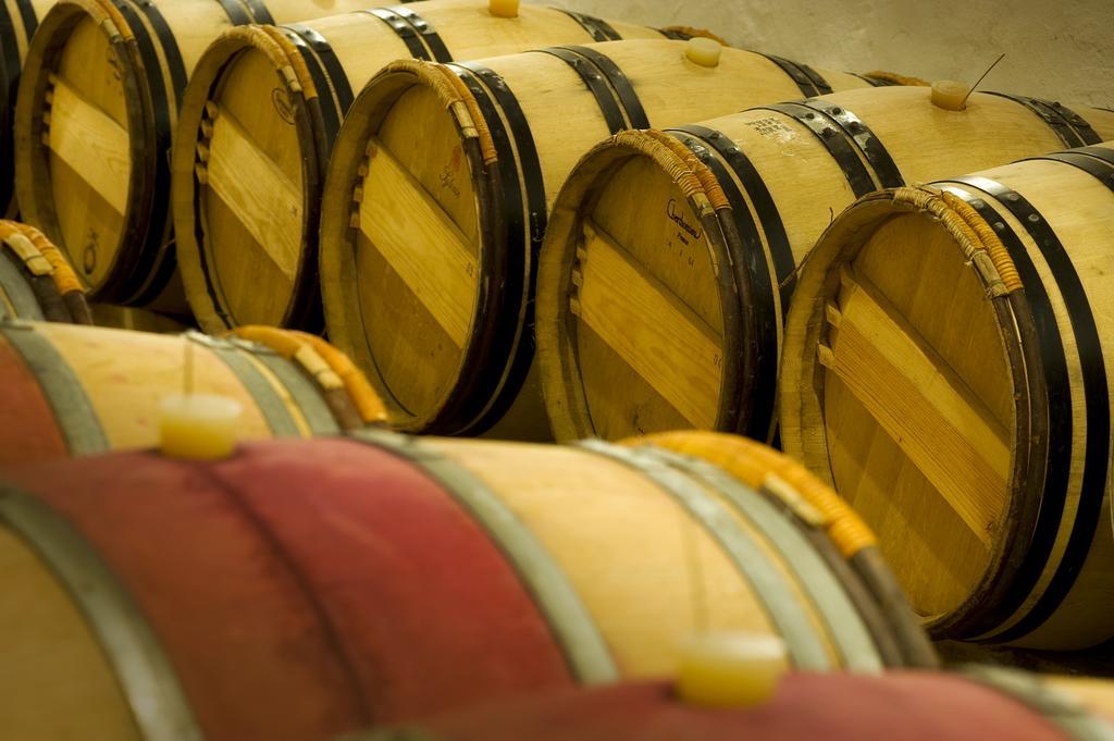 Domaine De La Soucherie - Chambres D'Hotes Beaulieu-sur-Layon Eksteriør billede