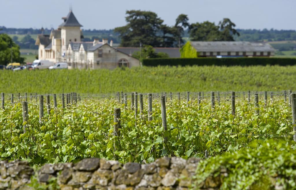 Domaine De La Soucherie - Chambres D'Hotes Beaulieu-sur-Layon Eksteriør billede