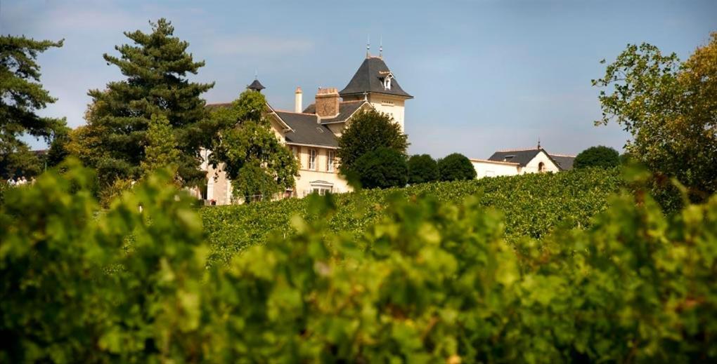 Domaine De La Soucherie - Chambres D'Hotes Beaulieu-sur-Layon Eksteriør billede